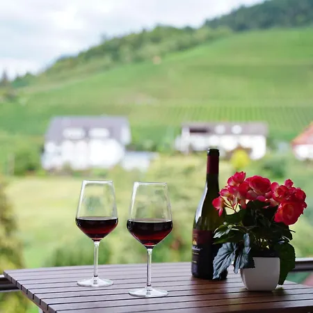 Faxe Schwarzwalder Hof Hotel