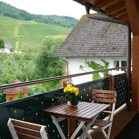 מלון Faxe Schwarzwalder Hof 3*