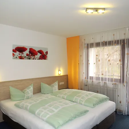 Faxe Schwarzwalder Hof 3* Kappelrodeck