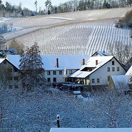 Faxe Schwarzwaelder Hof Otel 3*