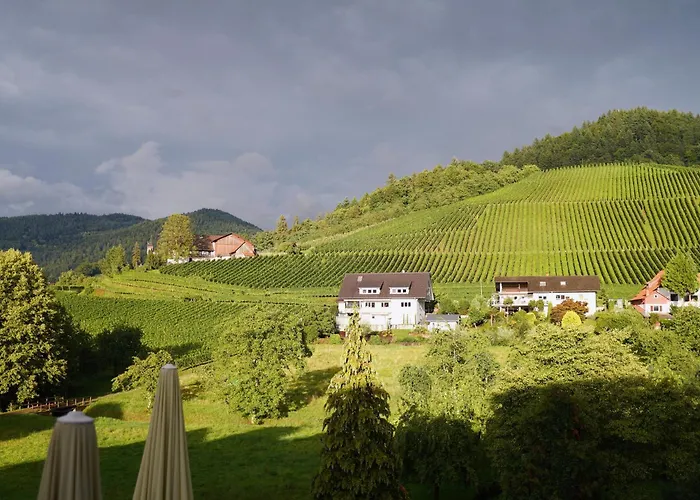 فاكسي شفارزفالدير هوف فندق