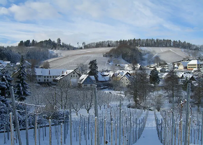 فاكسي شفارزفالدير هوف كابيلروديك