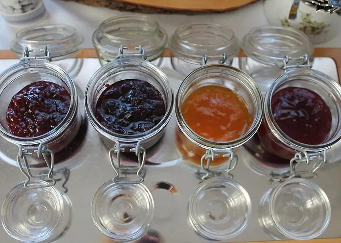 فاكسي شفارزفالدير هوف فندق كابيلروديك