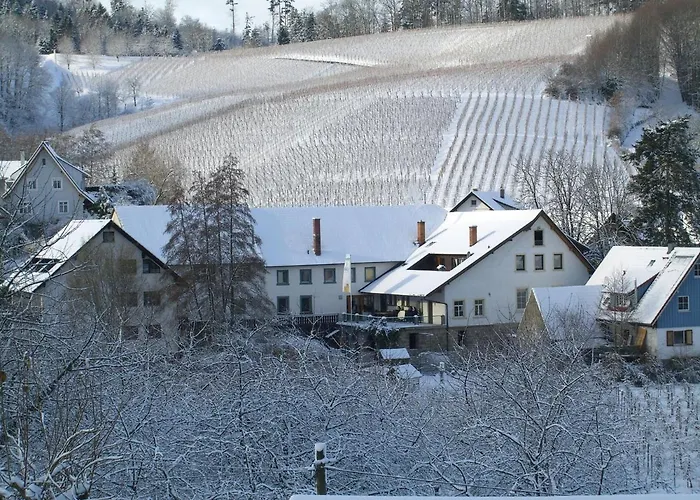 فندق فاكسي شفارزفالدير هوف كابيلروديك