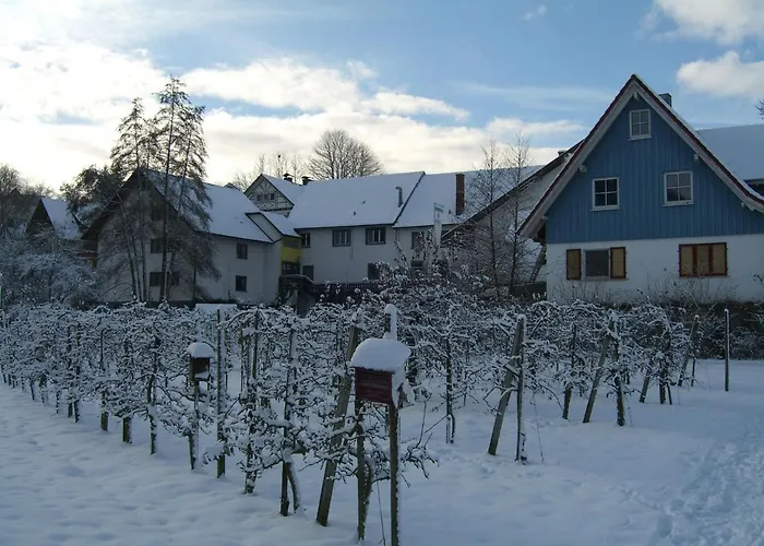 فاكسي شفارزفالدير هوف كابيلروديك